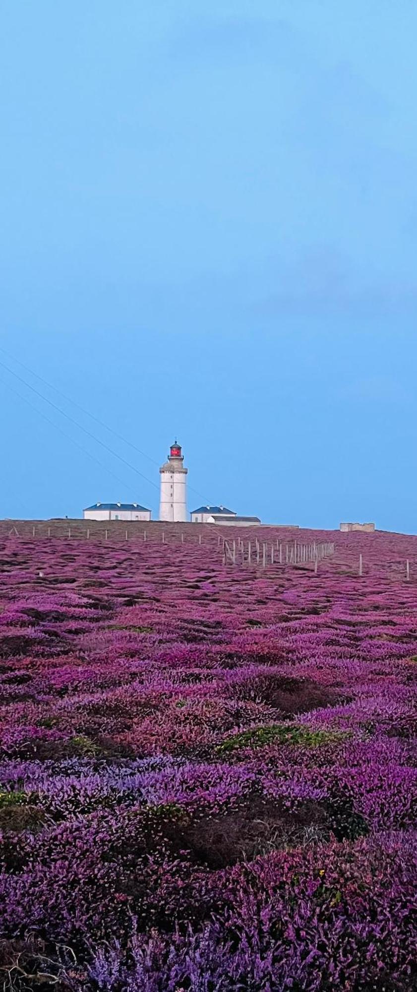 L'Atelier De Mezareun Bed & Breakfast Ushant Bagian luar foto