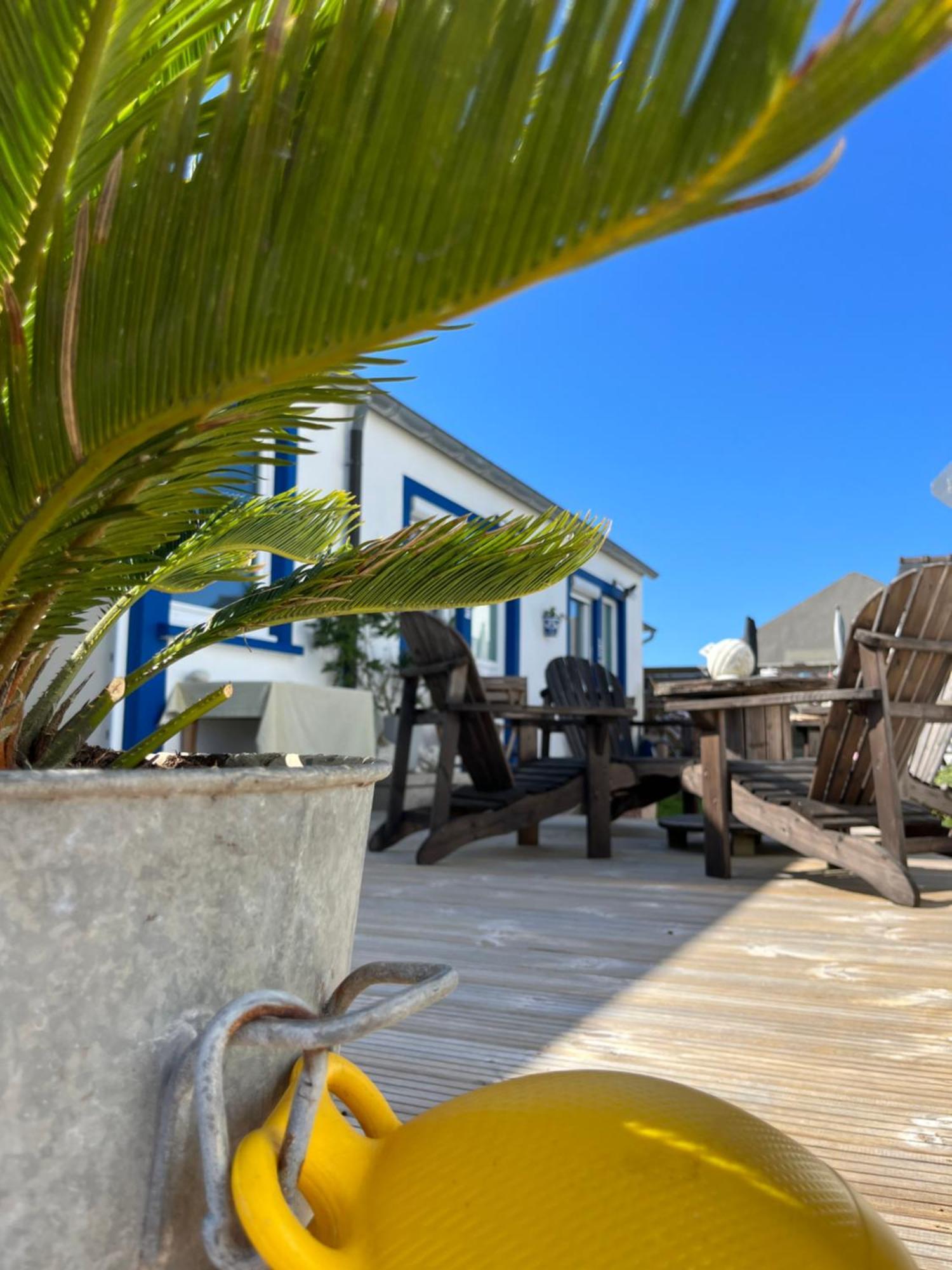 L'Atelier De Mezareun Bed & Breakfast Ushant Bagian luar foto
